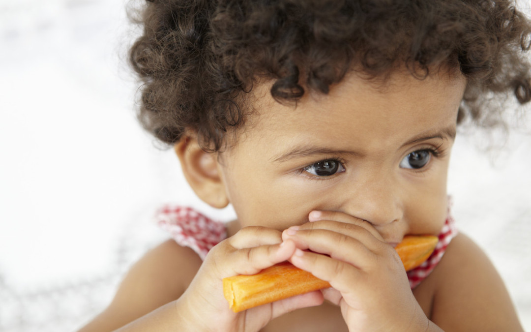 Healthy Family Eating by Danielle Shea Tan, TLC’s Family Nutrition Coach